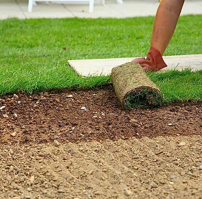 Hazır Çim, Hazır rulo çim, rulo cim