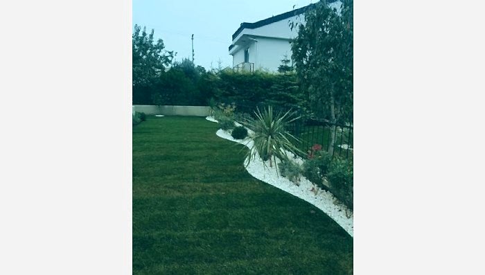 Arnavutköy Hazır Rulo Çim