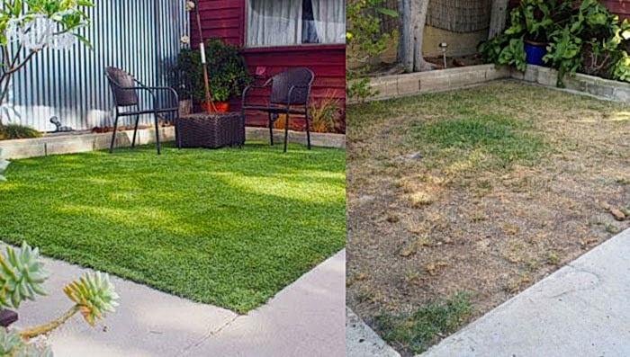 Bayrampaşa Hazır Rulo Çim