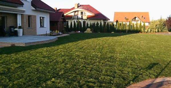 Beykoz Hazır Rulo Çim