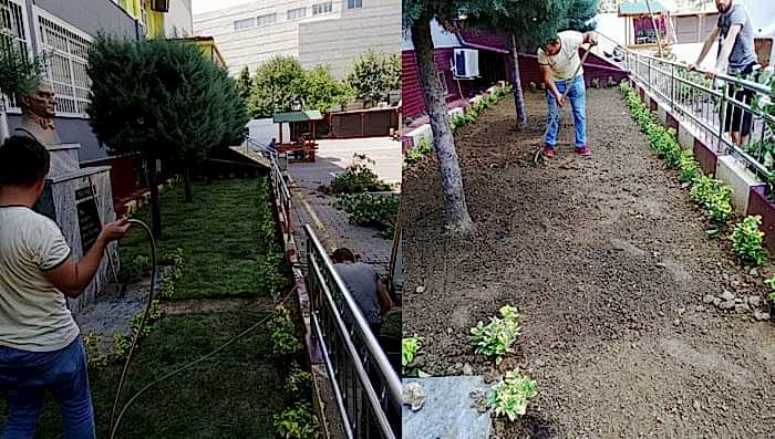 Beyoğlu Hazır Rulo Çim Uygulaması