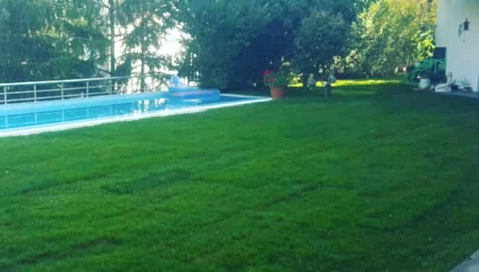 Çekmeköy Hazır Rulo Çim