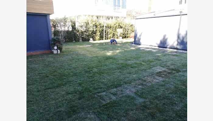 Etiler Hazır Rulo Çim Uygulaması