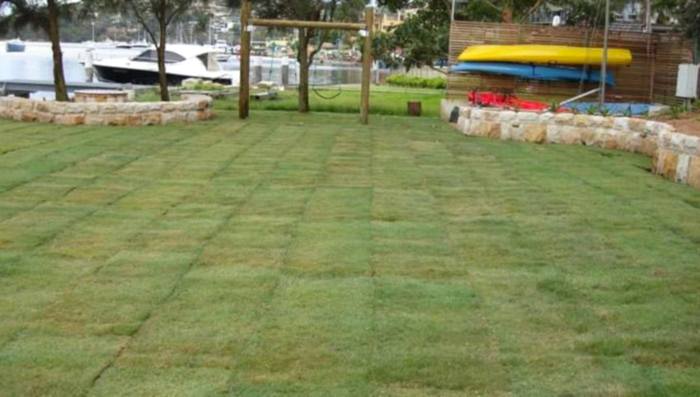 Eyüp Hazır Rulo Çim