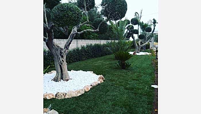 Kilyos Hazır Rulo Çim Uygulamamız