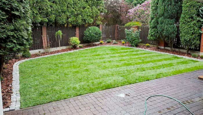 Maltepe Hazır Rulo Çim