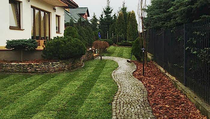 Pendik Hazır Rulo Çim