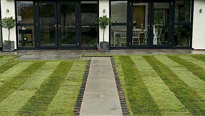 Sarıyer Hazır Rulo Çim