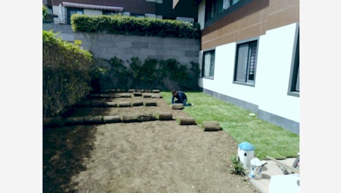 Üsküdar Hazır Rulo Çim