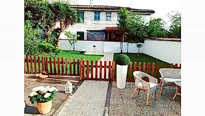 Zeytinburnu Rulo Çim